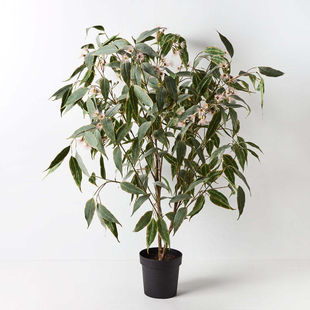 Artificial Eucalyptus