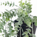 Eucalyptus Hanging Bush in Pot Grey Green 73cm Pack of 6