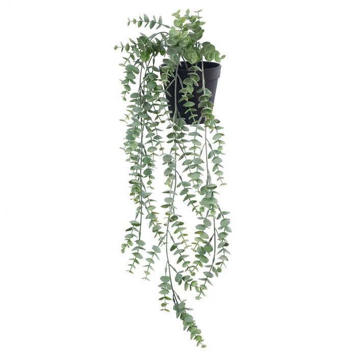 Eucalyptus Hanging Bush in Pot Grey Green 73cm Pack of 6