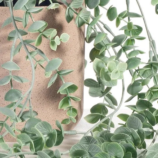 Eucalyptus Hanging Bush in Pot Grey Green 73cm Pack of 6