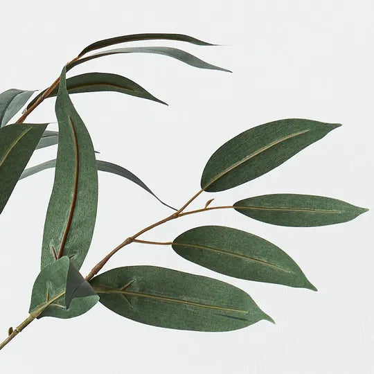 Eucalyptus Long Leaf Spray Grey Green 78cm Pack of 12