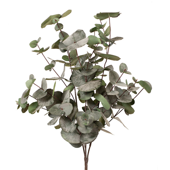 Eucalyptus Silver Dollar Bush Dark Green 55cm Pack of 6