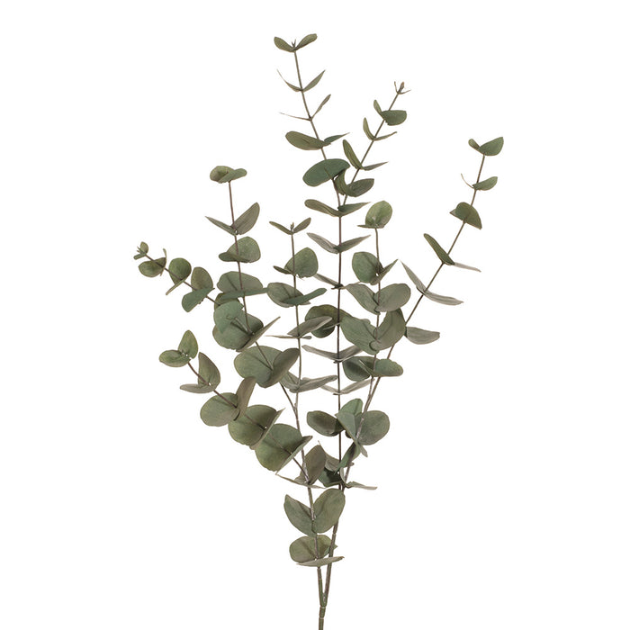 Eucalyptus Silver Dollar Forest Green 101cm Pack of 12