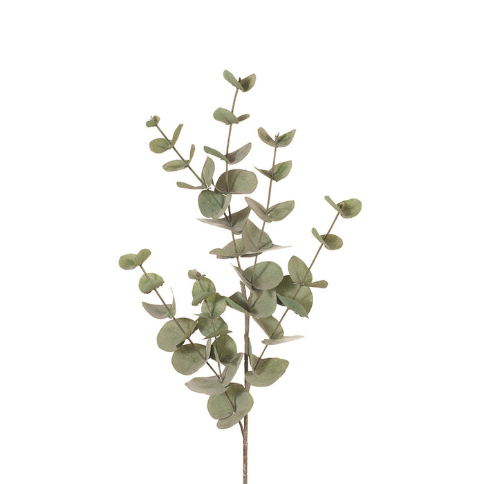 Eucalyptus Silver Dollar Leaves Forest Green 86cm Pack of 12
