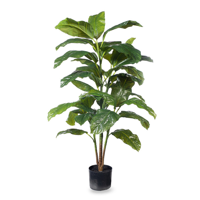 Evergreen Plant Green 126cm Pack of 2