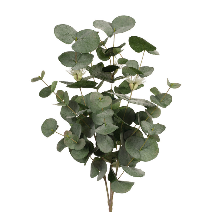 Eucalyptus Flowering Spinning Gum Bush Cream 60cm Pack of 6