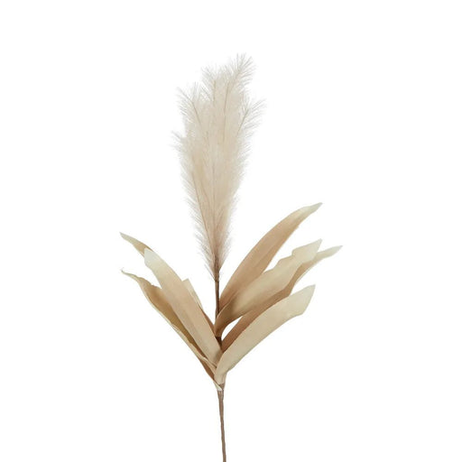 Feather Pampas Stem Coffee Pack of 12