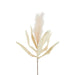 Feather Pampas Stem Cream Pack of 12