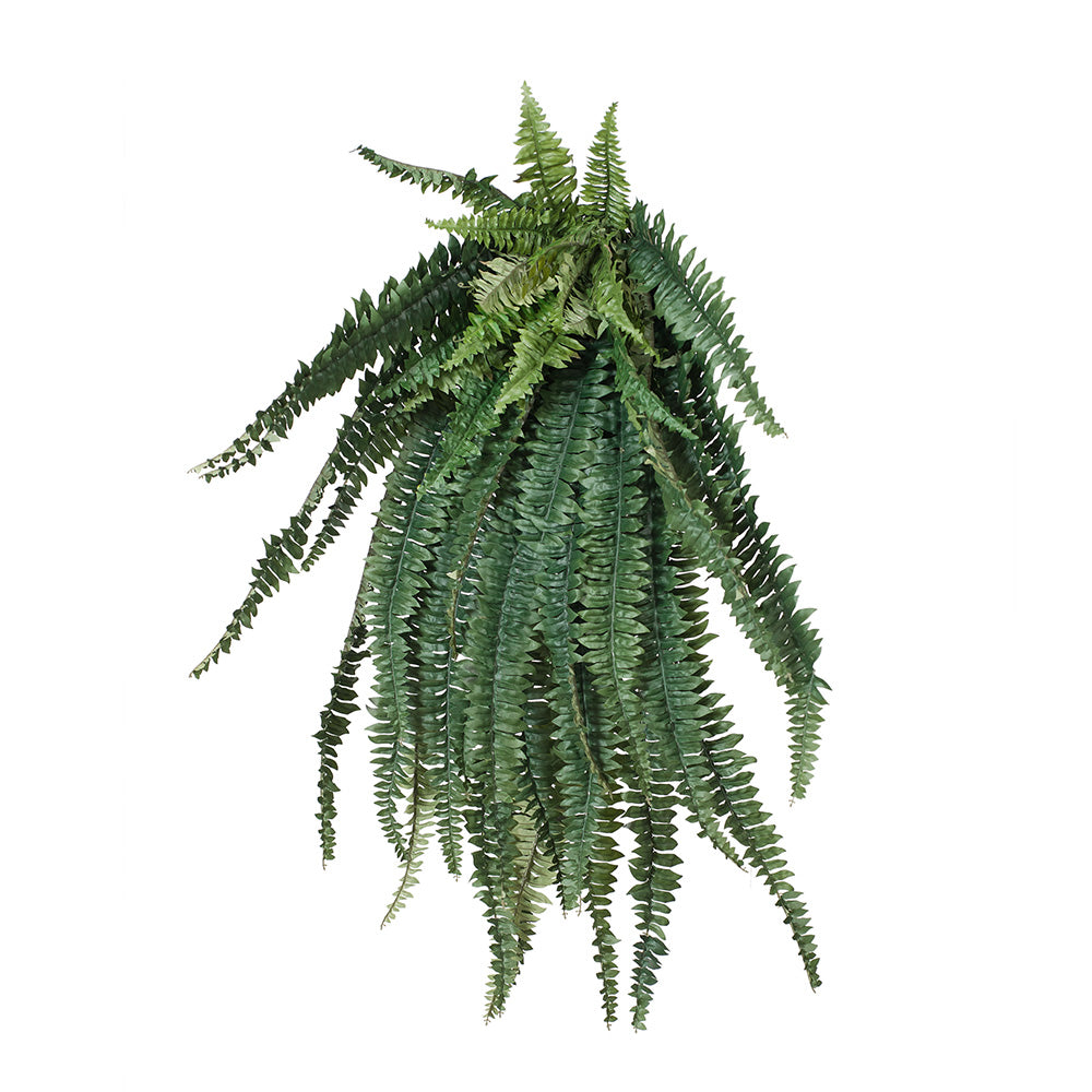 Artificial Fern
