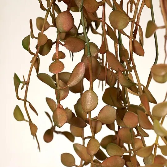 Fern Button Hanging Bush -Rust Brown 94cm Pack of 12