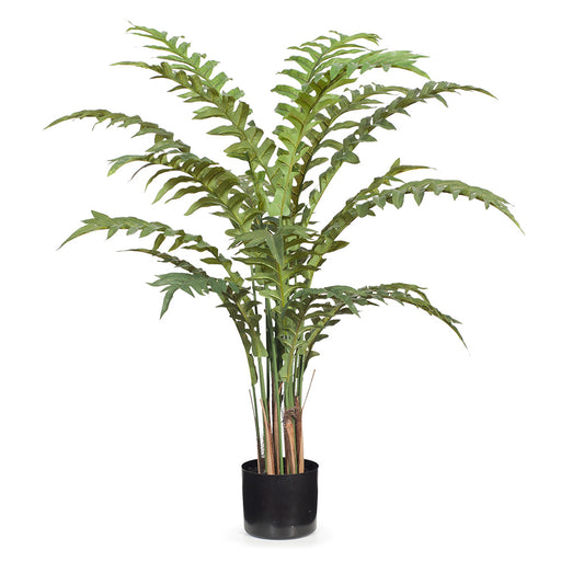 Fern Hares Foot Green 105cm Pack of 2