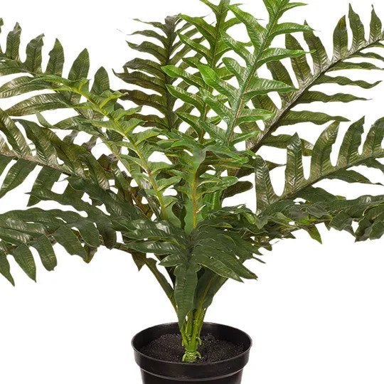 Fern Hares Foot in Pot Green 45cm Pack of 4