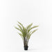 Fern Mountain Plant Green 117cm Pack of 2