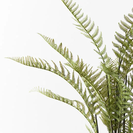 Fern Mountain Plant Green 181cm Pack of 2