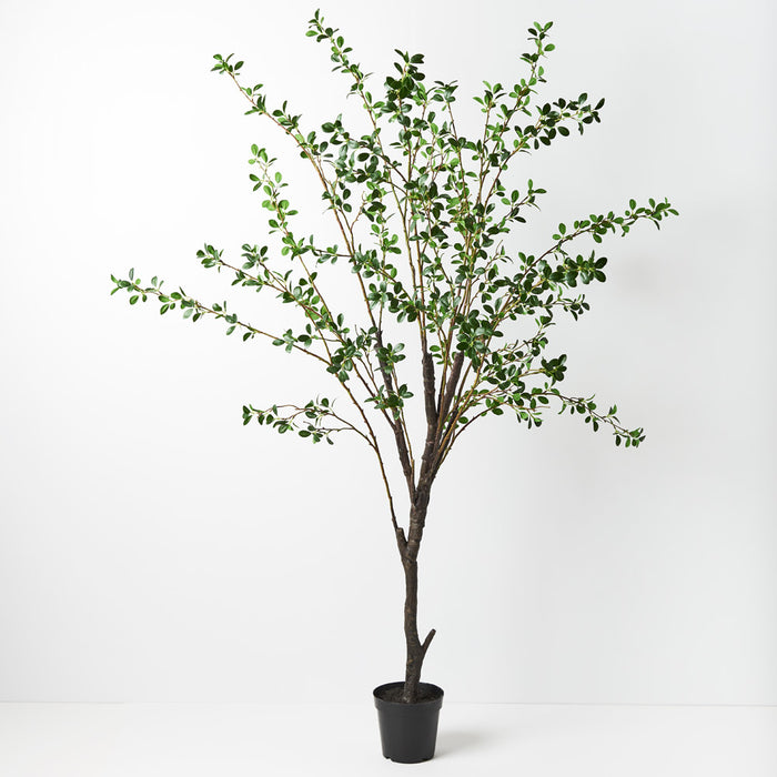 Ficus Tree Green Real Touch 178cm