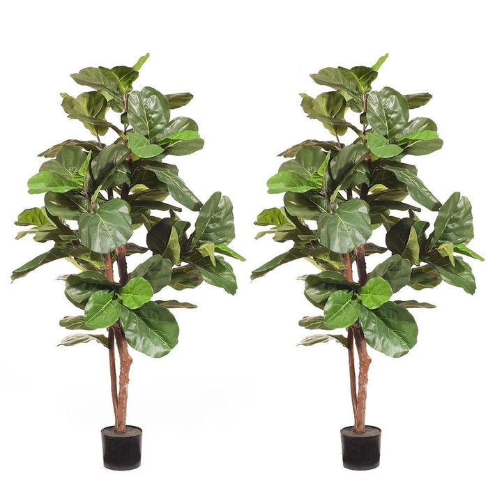 Fiddle Leaf Tree Green 183cm Style A Pack of 2