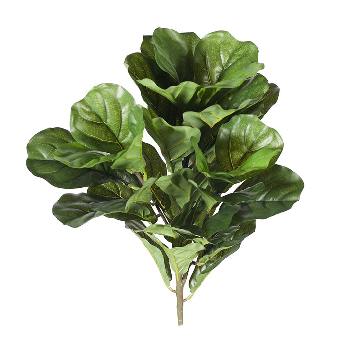 Fiddle Leaf Bush Green 53cm Pack of 6