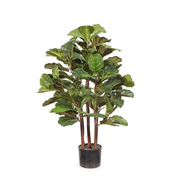 Fiddle Leaf Tree Green A 100cm Pack of 2