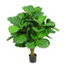 Fiddle Leaf Tree with 70 Leaves 75cm
