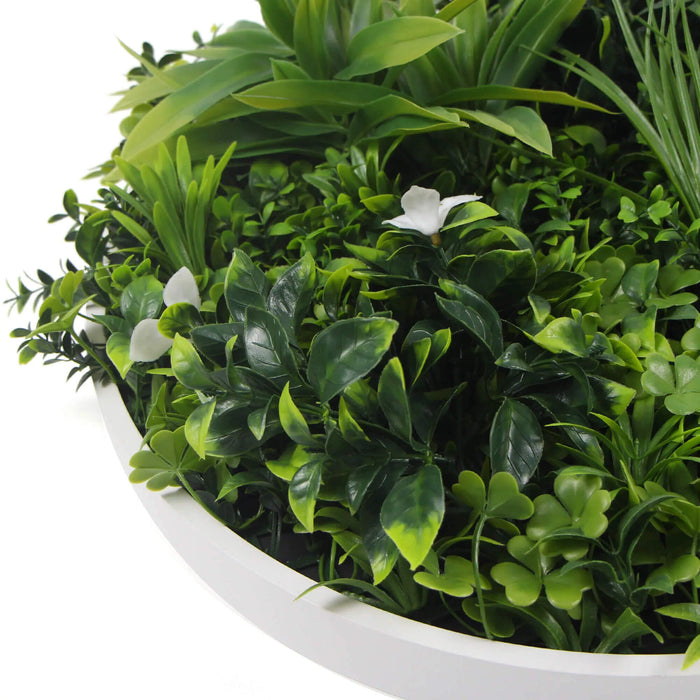 Flowering White Artificial Green Wall Disc UV Resistant (White Frame) 50cm