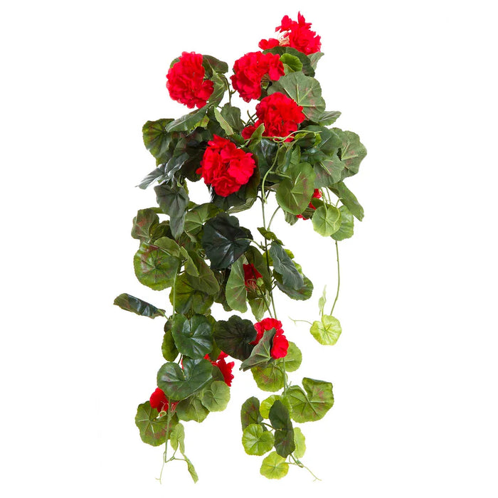Geranium Red Bush Trail Hanging with Leaves 60cm Pack of 6