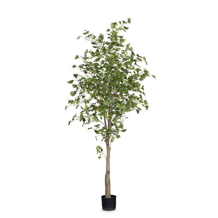 Ginkgo Tree Green 213cm Pack of 2
