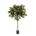 Golden Orange Tree 120cm