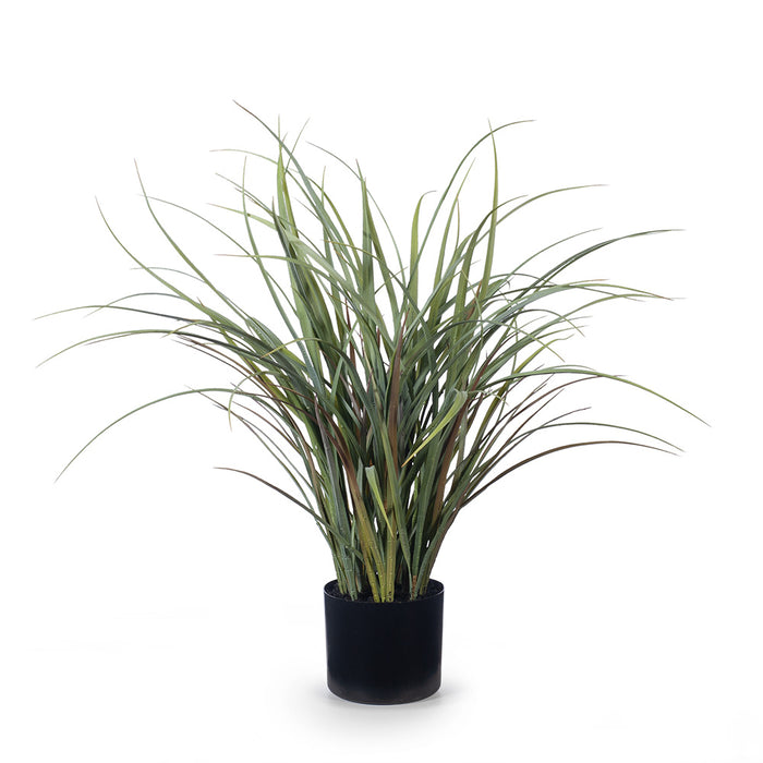 Grass Plant Grey Green 59cm Pack of 2