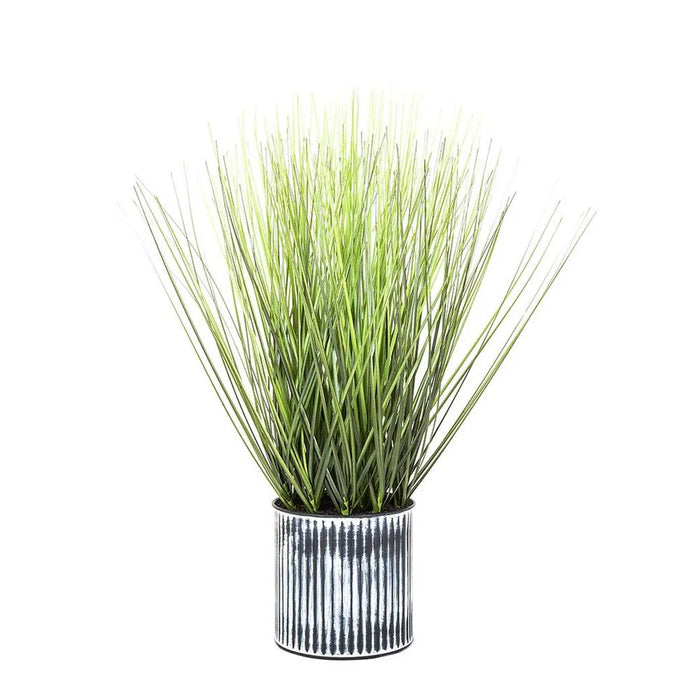Grass in Pot 48cm Pack of 2