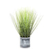Grass in Pot 48cm Pack of 2