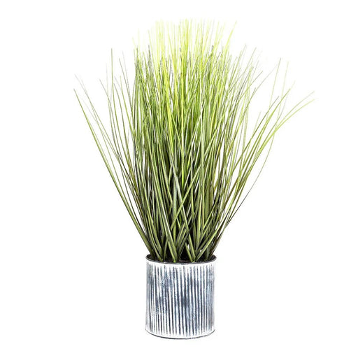 Grass in Pot 64cm Pack of 2