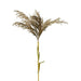 Grey Pampas Spray Stem with Leaves Pack of 12