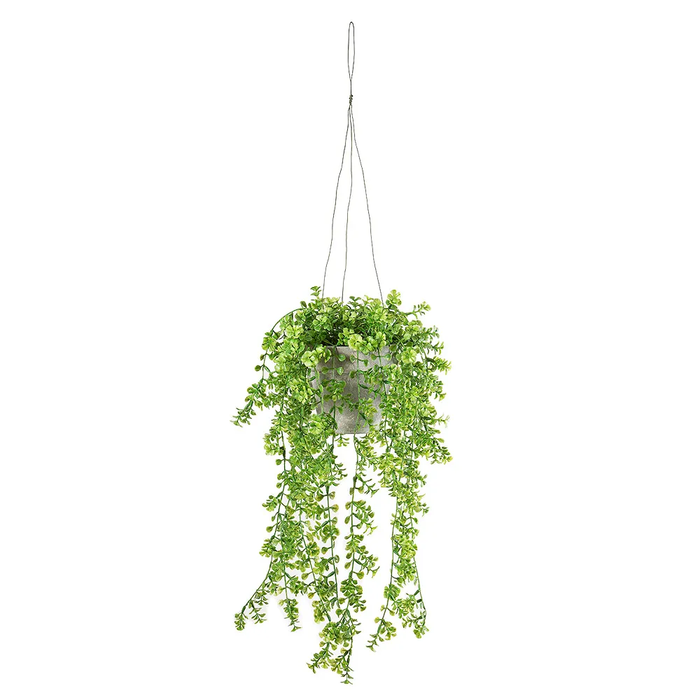 Hanging Geranium Leaves In Paper Pot 40cm Pack of 6