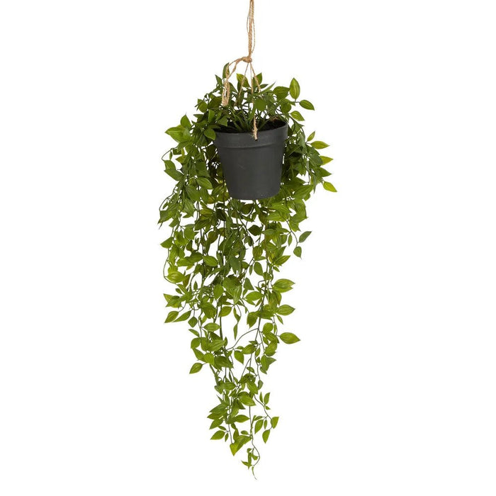 Hanging Leaves with Black Pot Pack of 6