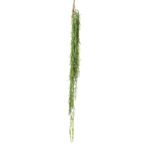 Herb Hanging Bush 90cm Pack of 12