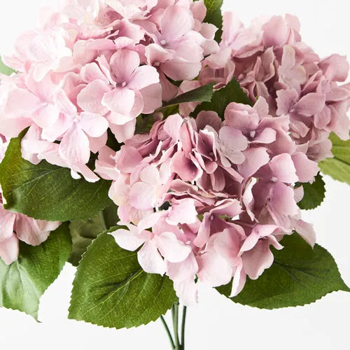 Hydrangea Bush 46cm Dusty Pink Pack of 12