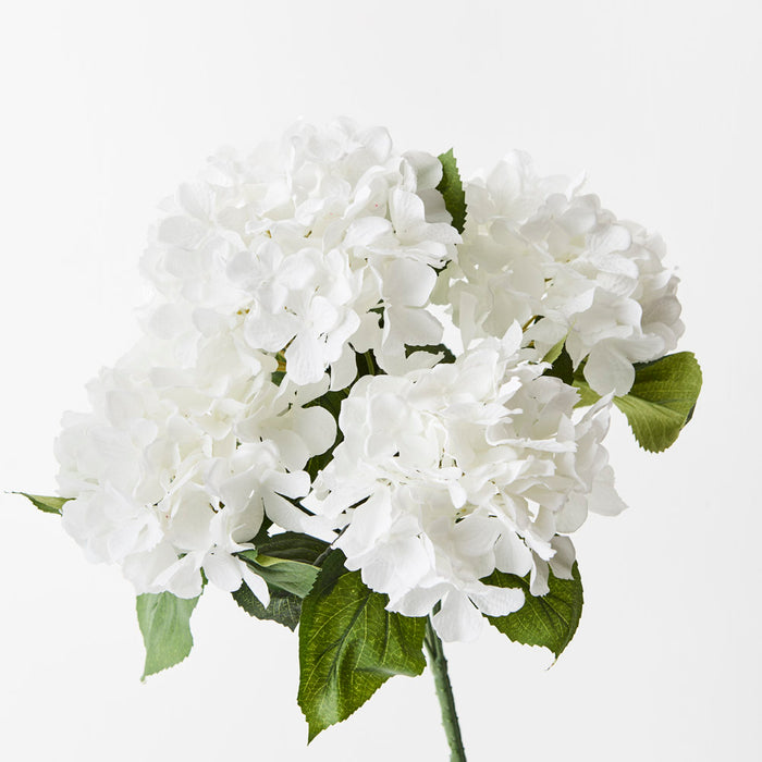 Hydrangea Bush 46cm White Pack of 12