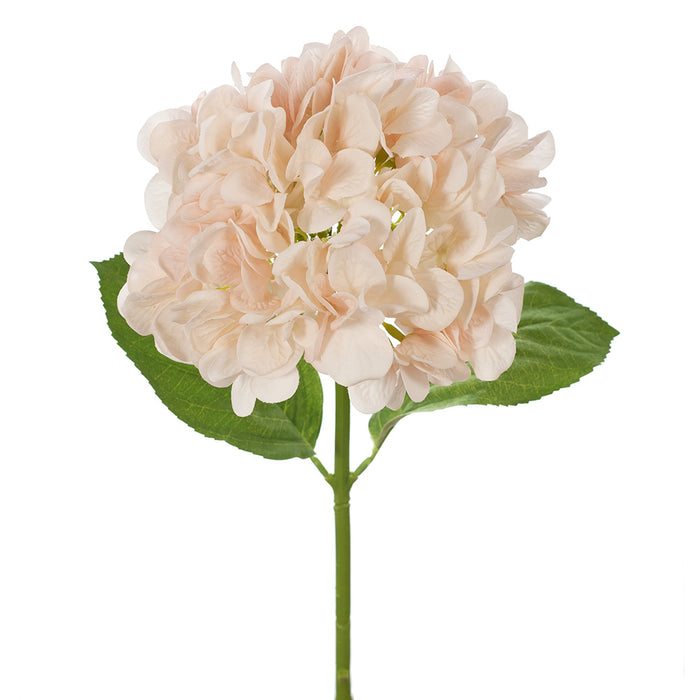 Hydrangea Stem 47cm Soft Pink Pack of 12