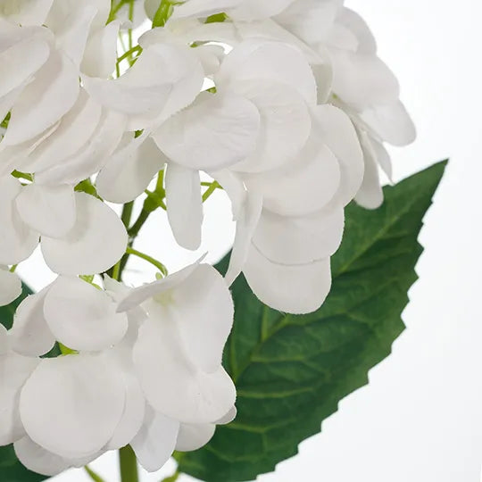 Hydrangea Stem 47cm White Pack of 12