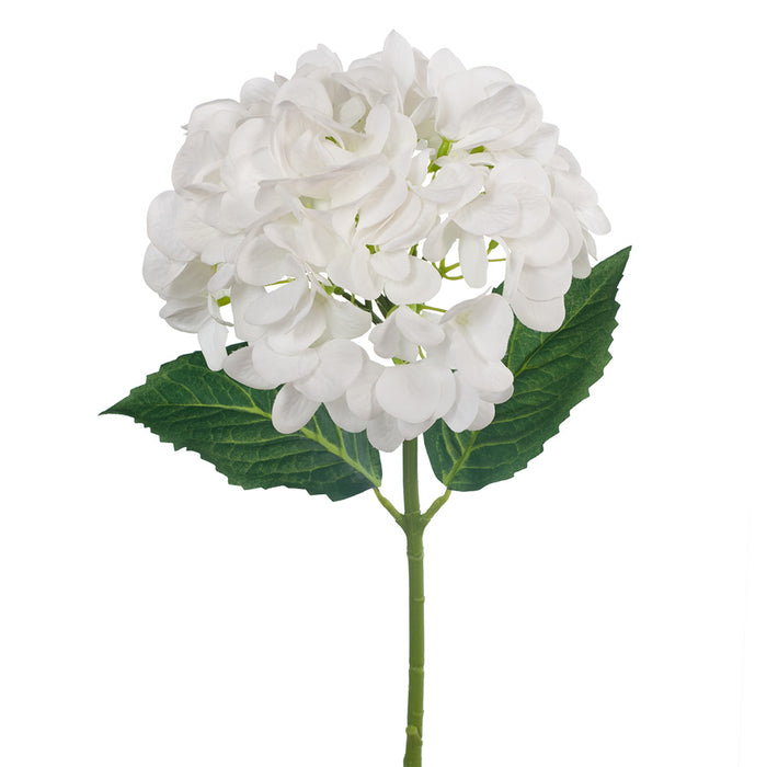 Hydrangea Stem 47cm White Pack of 12