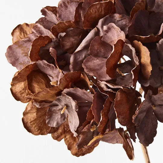 Hydrangea Stem Only 52cm Chocolate Brown Pack of 12