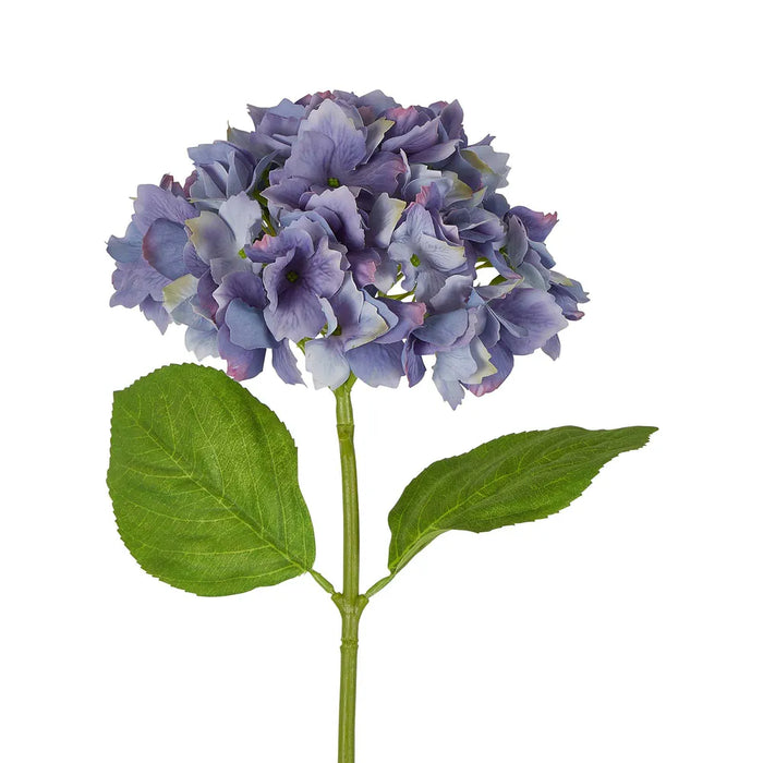 Hydrangea Stem Soft Touch 50cm Blue Pack of 12