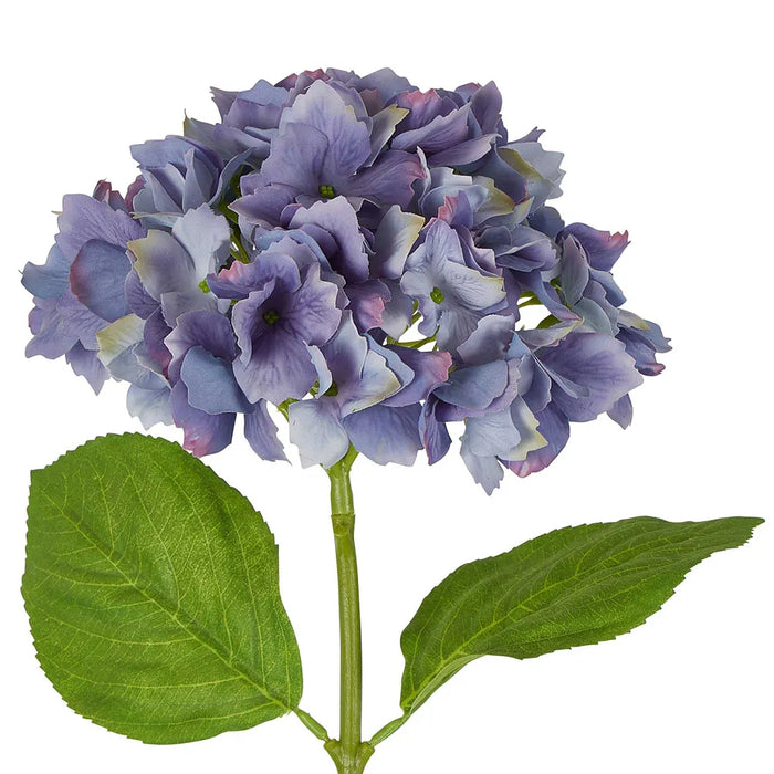 Hydrangea Stem Soft Touch 50cm Blue Pack of 12