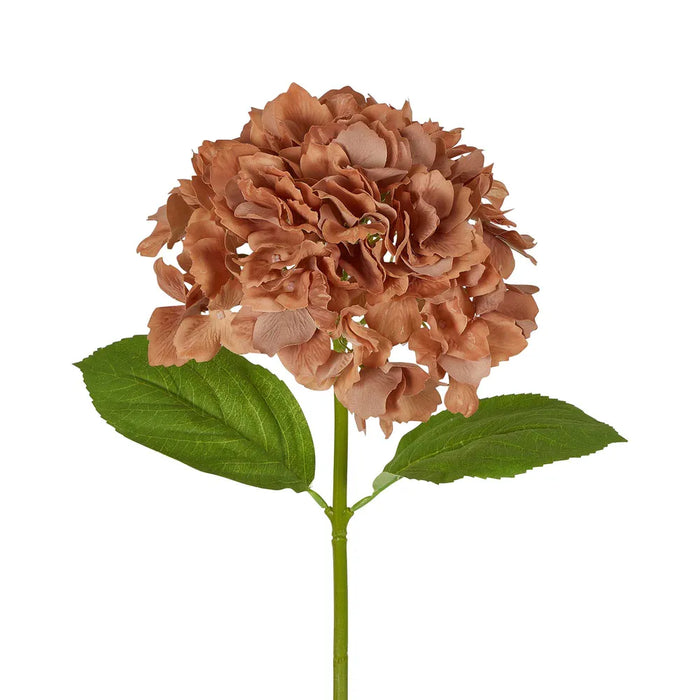 Hydrangea Stem Soft Touch 50cm Brown Pack of 12
