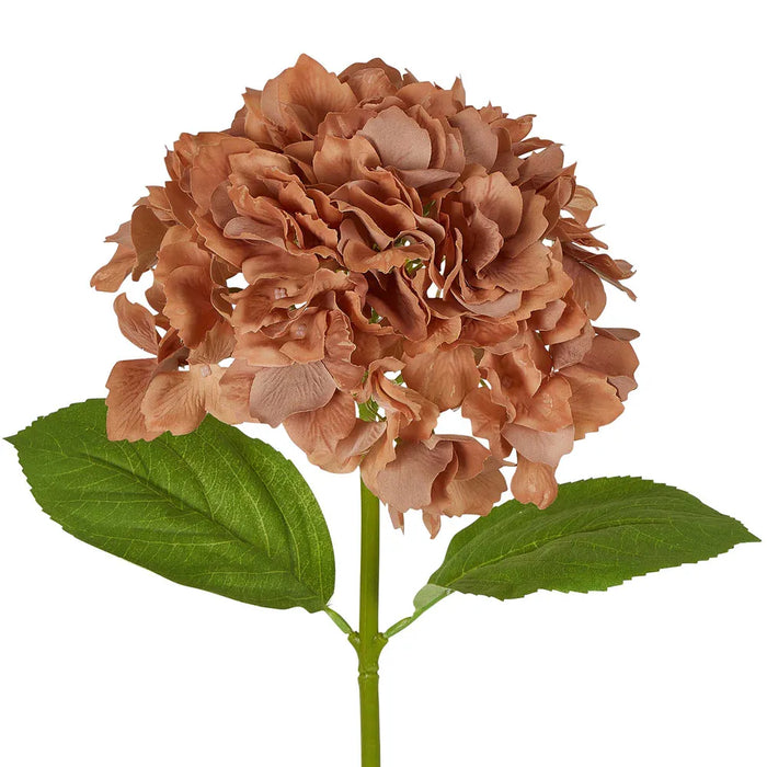 Hydrangea Stem Soft Touch 50cm Brown Pack of 12