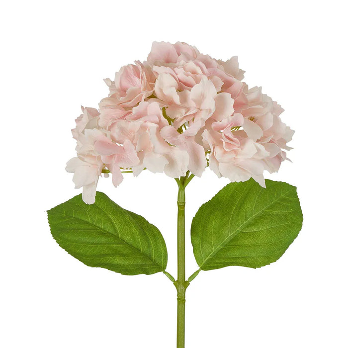 Hydrangea Stem Soft Touch 50cm Pink Pack of 12