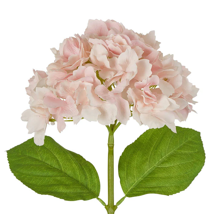 Hydrangea Stem Soft Touch 50cm Pink Pack of 12