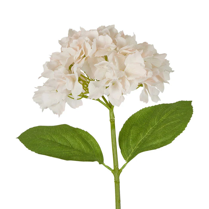 Hydrangea Stem Soft Touch 50cm White Pink Pack of 12