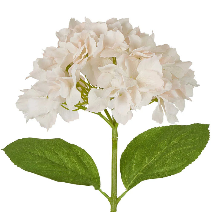 Hydrangea Stem Soft Touch 50cm White Pink Pack of 12