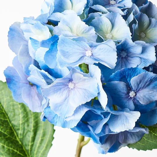 Hydrangea Stem With Leaves 52cm Blue Pack of 12